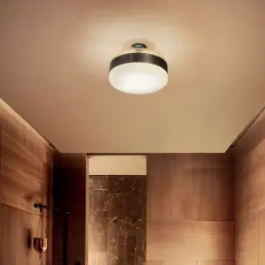 Spherical Ceiling Flush Mount